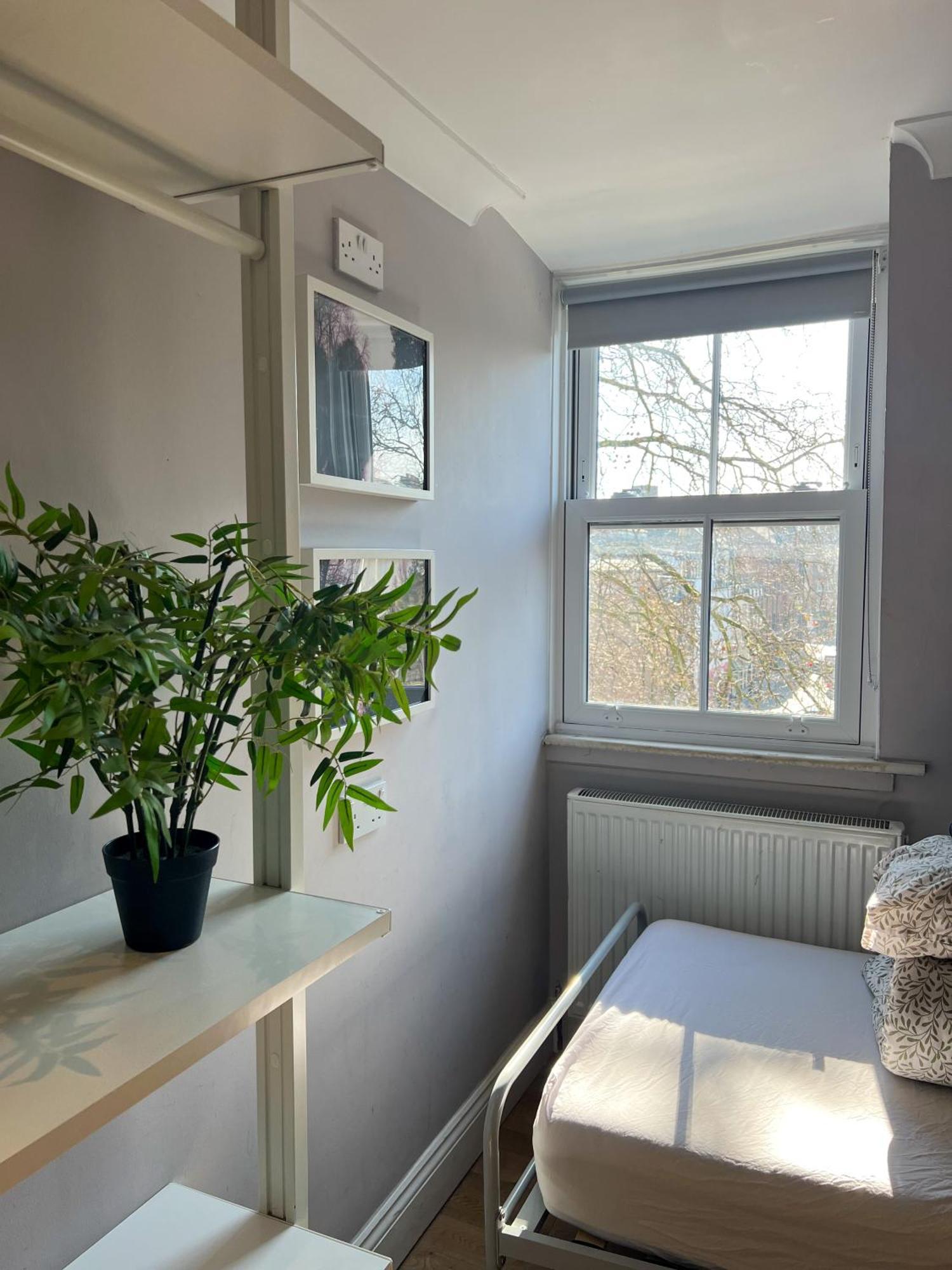 Prime Backpackers Angel Hostel